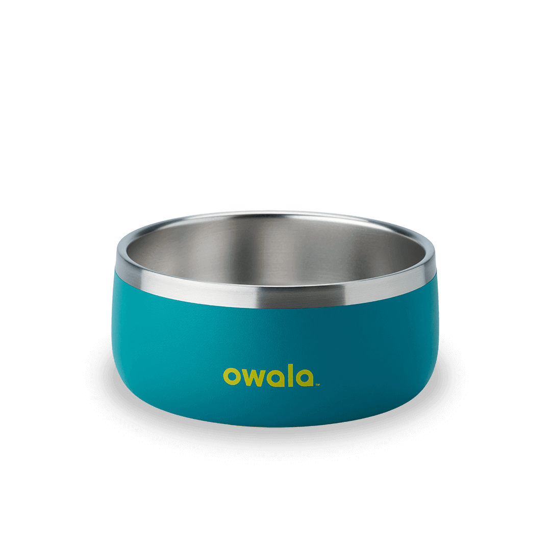 Owala blue 3 cup pet bowl